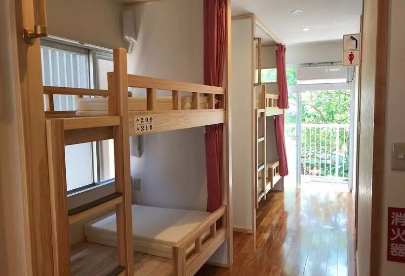 Hostel Panda No Negura