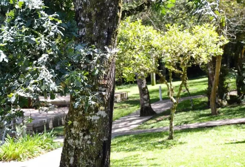 ペンション Pousada Dos Pinheiros