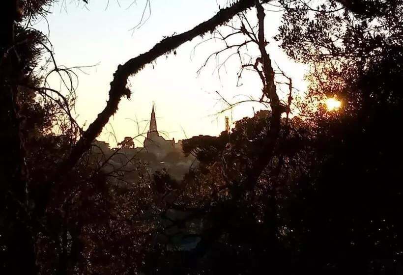 ペンション Pousada Dos Pinheiros