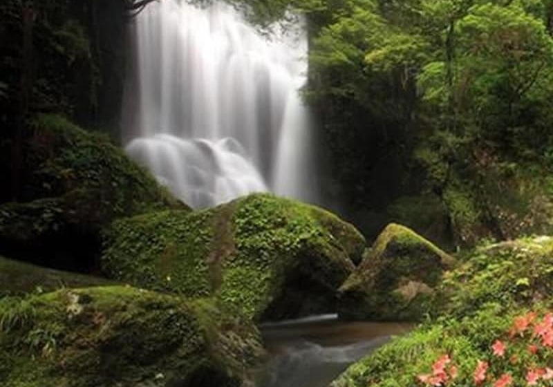 پانسیون Guesthouse Takao Hostel