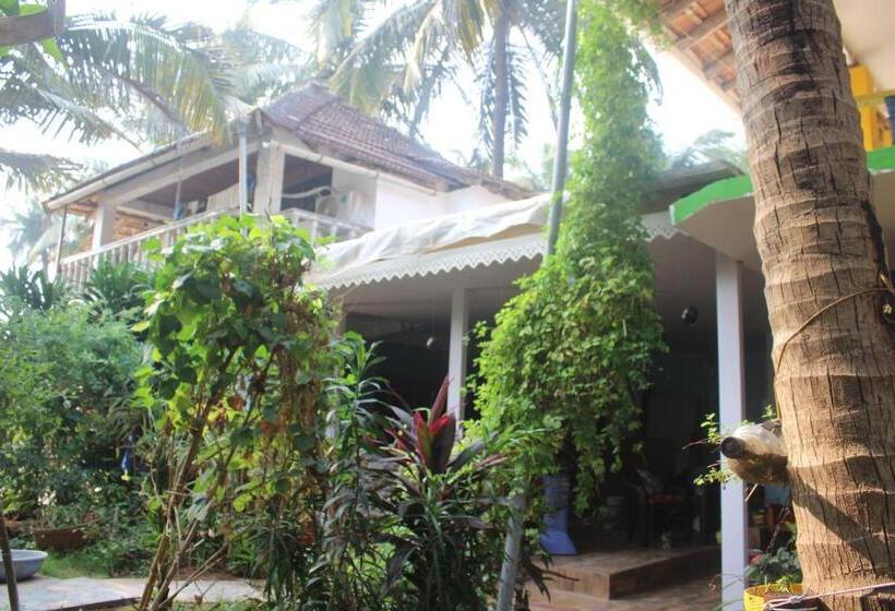 بنسيون Monsoon