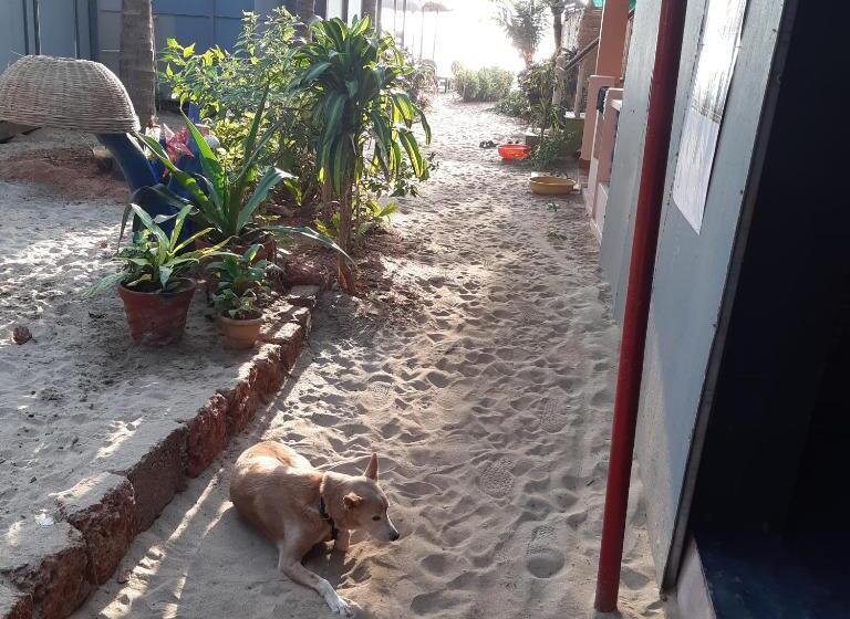 بنسيون Monsoon