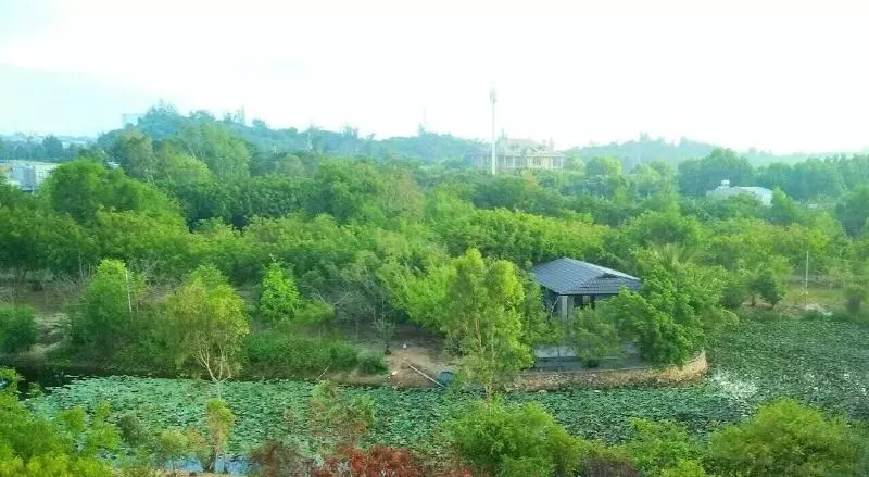 پانسیون Ocean Pearl Villa