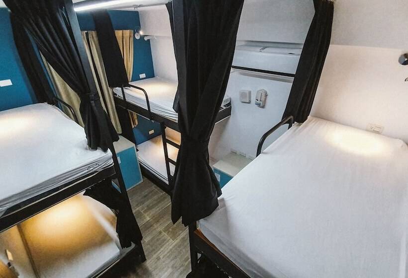 هاستل Central Woods