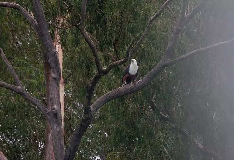 Majatalo Broadwater River Estate