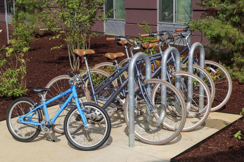 فندق Fairfield Inn & Suites By Marriott Philadelphia Valley Forge/great Valley