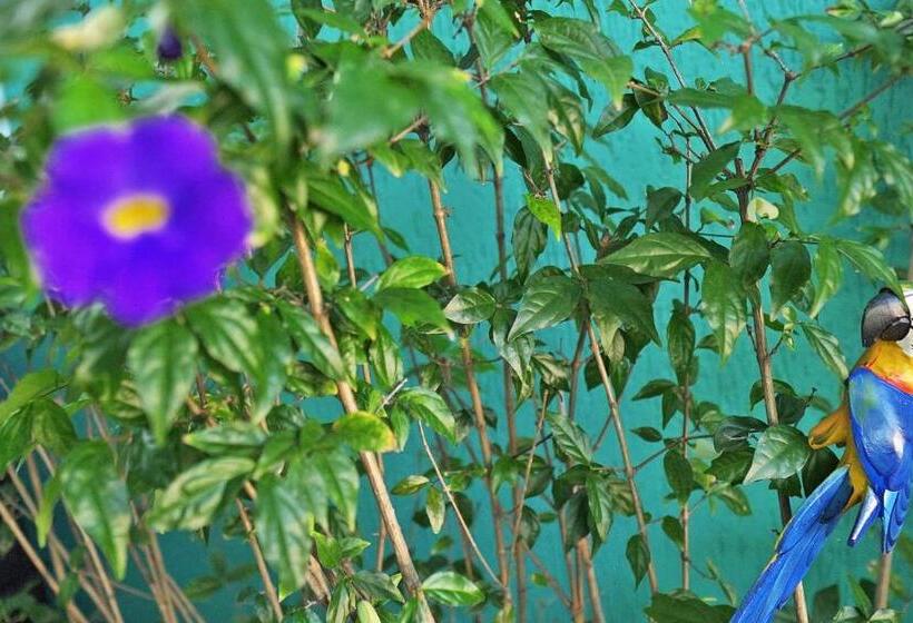 پانسیون Residencial águas De Bare