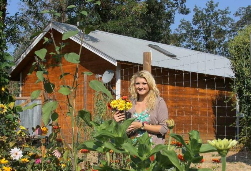 فندق Coho Cottages