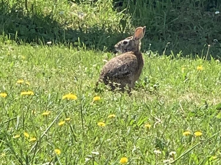 ホテル Agriturismo Laterzola 3.0