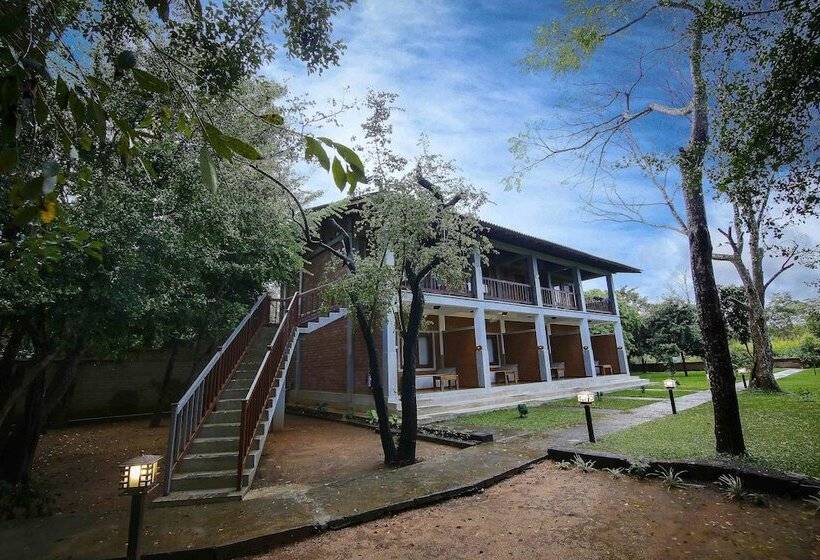 ホテル Elephas Resort & Spa