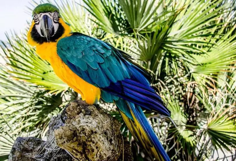 Majatalo Le Stanze Del Pescatore