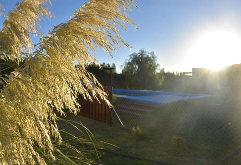 هاستل Posada Boutique La Barrica