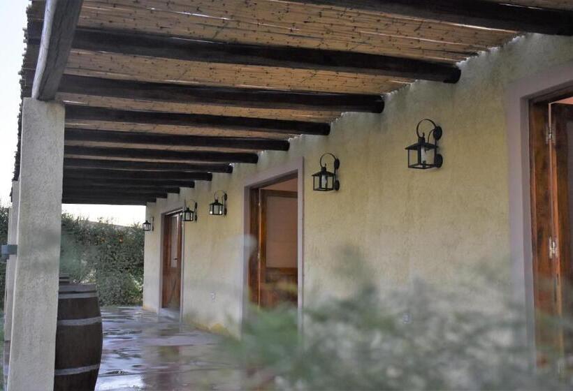 هاستل Posada Boutique La Barrica