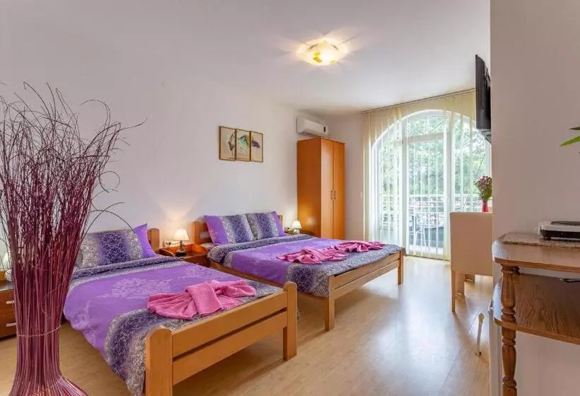 پانسیون Guesthouse Sunny