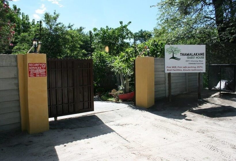 پانسیون Thamalakane Guest House