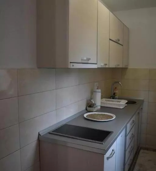 پانسیون Deluxe Studio & Rooms Zarubica