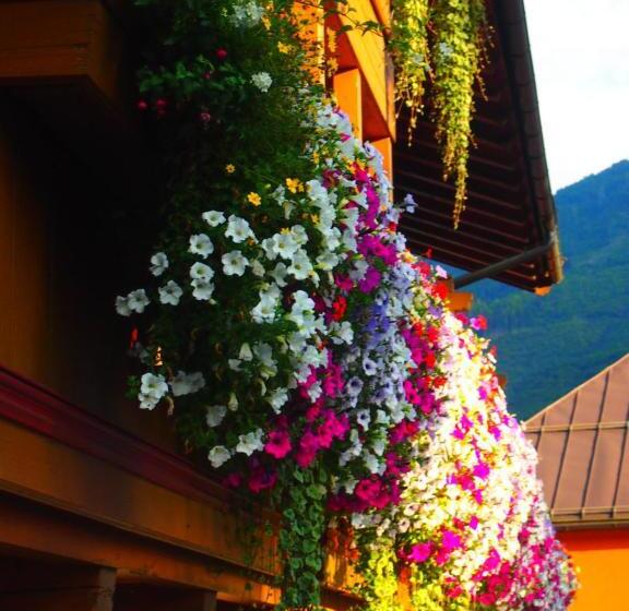 ユースホステル Tischlerwirt