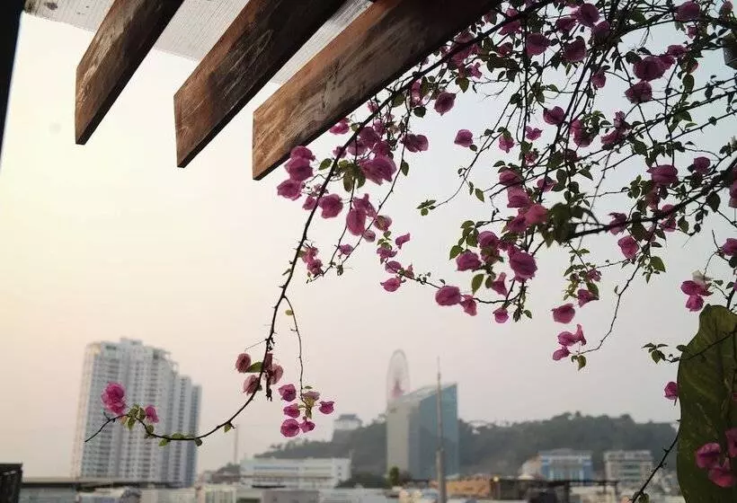 پانسیون Deja Vu House Ha Long