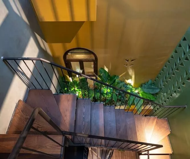 پانسیون Deja Vu House Ha Long