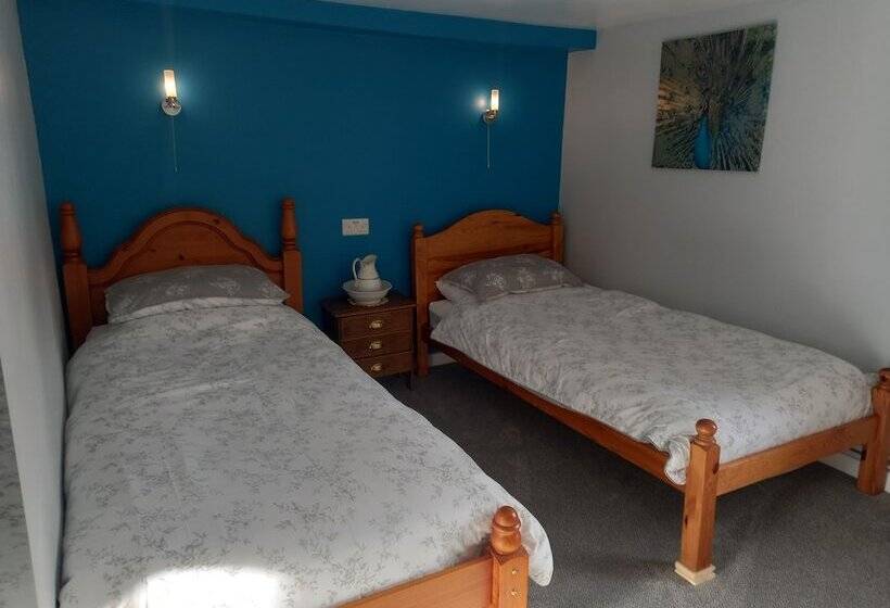 הוסטל The Harp Inn