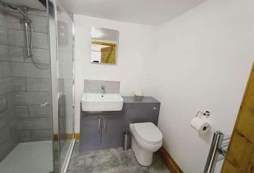 הוסטל The Harp Inn