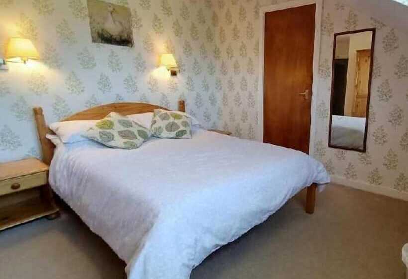 הוסטל The Harp Inn