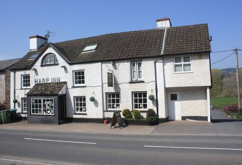 הוסטל The Harp Inn