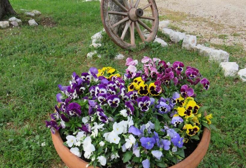 בית מלון כפרי Agriturismo San Martino