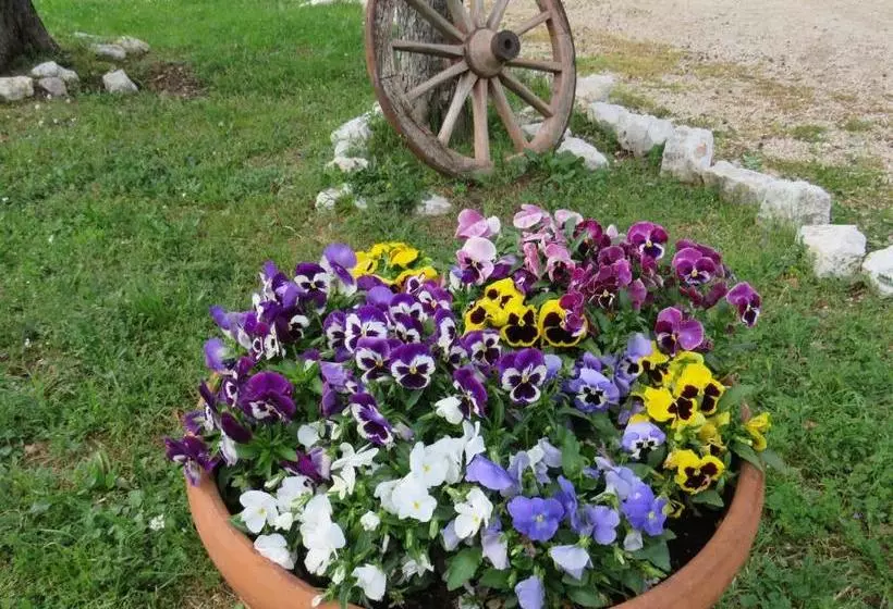 هتل Agriturismo San Martino