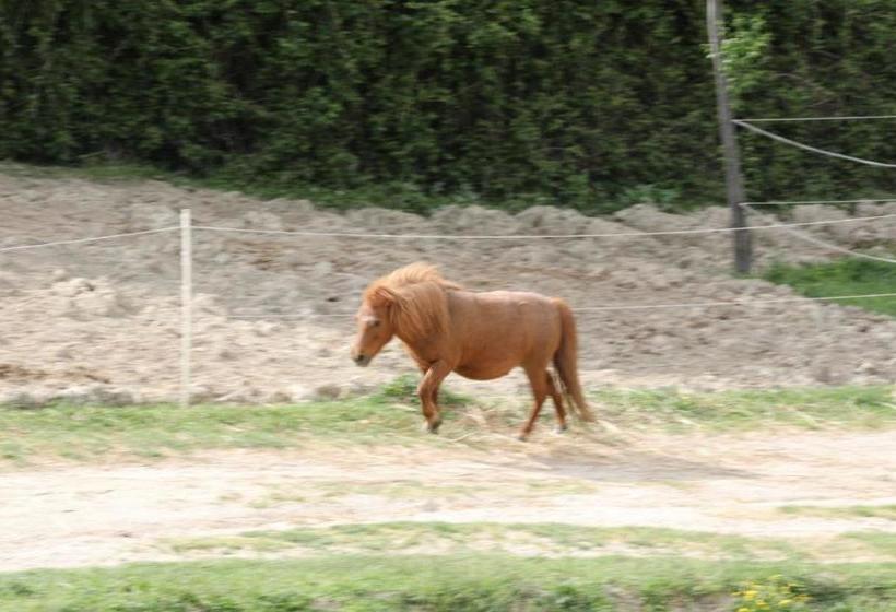 בית מלון כפרי Agriturismo San Martino