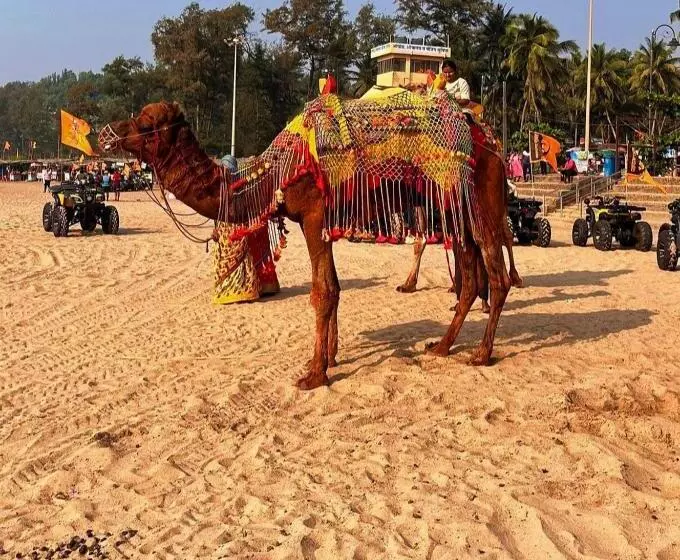 Hotelli Grand Ganesha