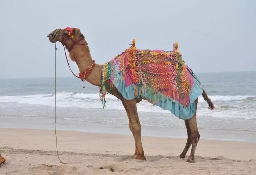 Hotelli Grand Ganesha