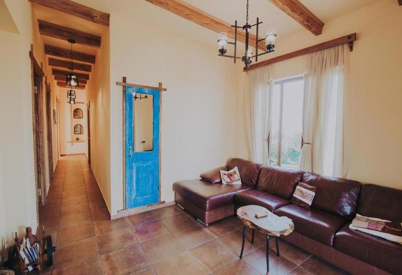 پانسیون Telavi Tel Aviv