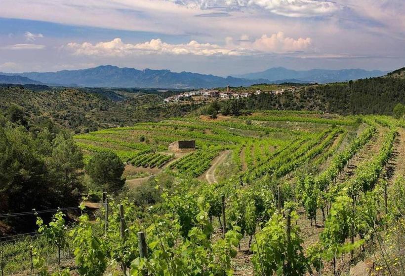 تختخواب و صبحانه Clos Figueras