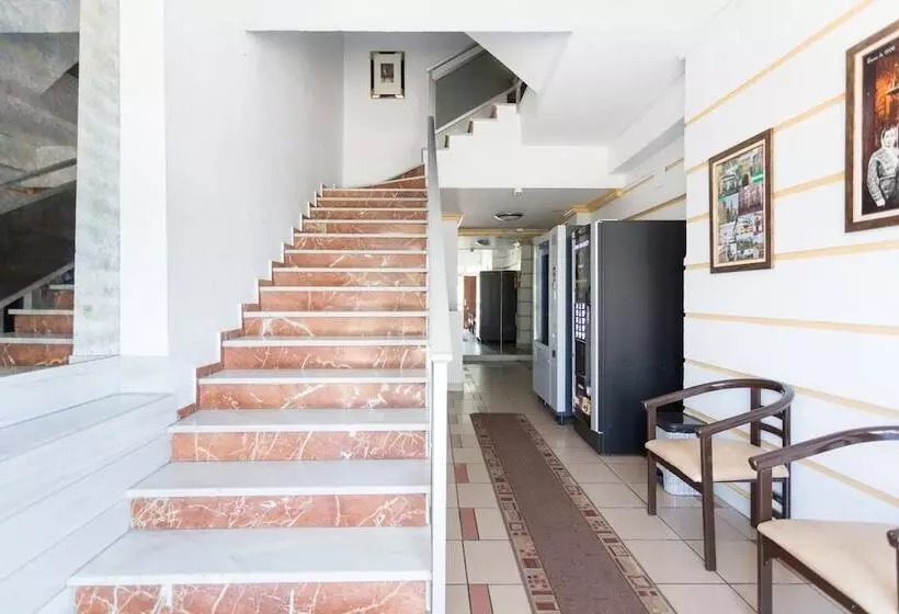 ペンション Hostal San Rafael