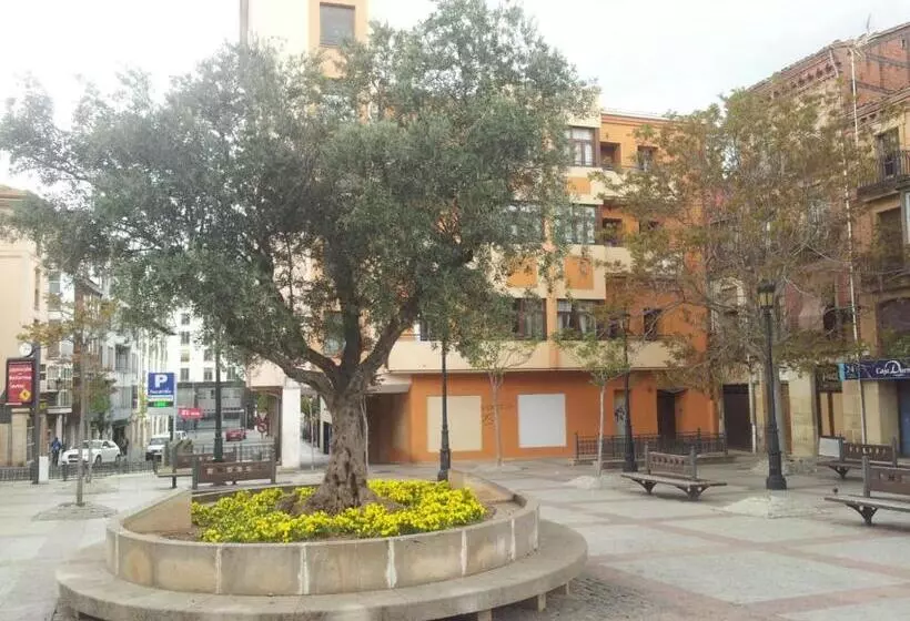 Morendal Zaaita