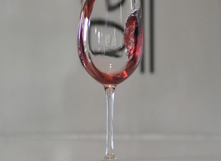 پانسیون Pons Minea