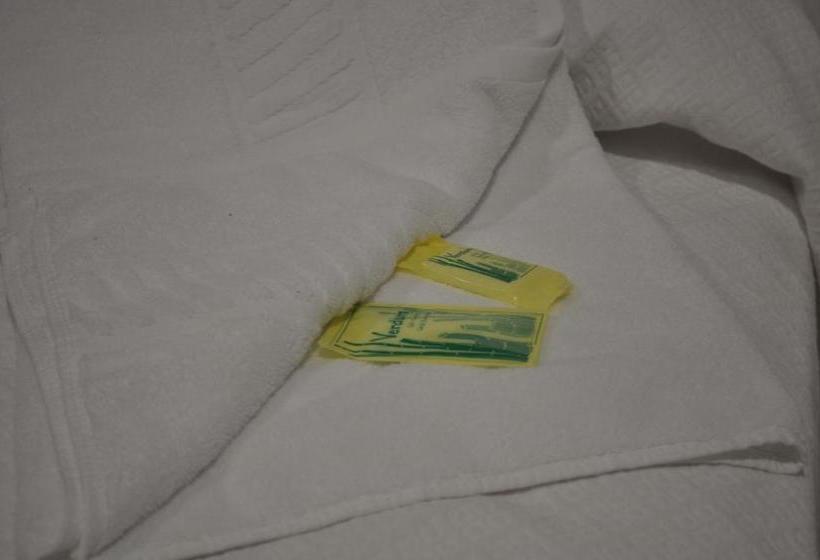 پانسیون Pons Minea