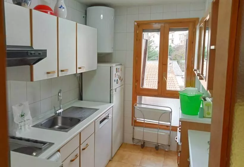 Apartamentos Valle de Tena Biescas 3000