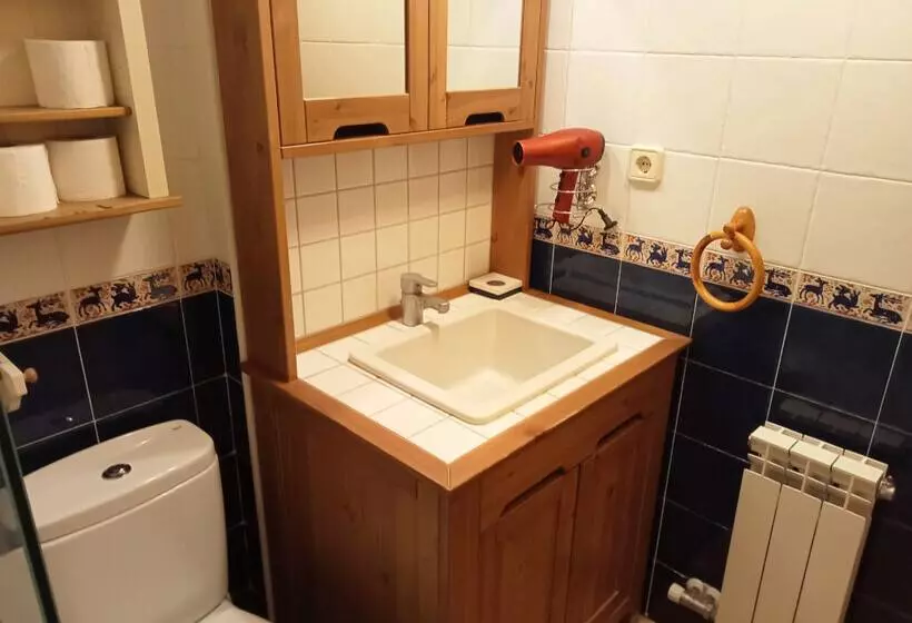 Apartamentos Valle de Tena Biescas 3000