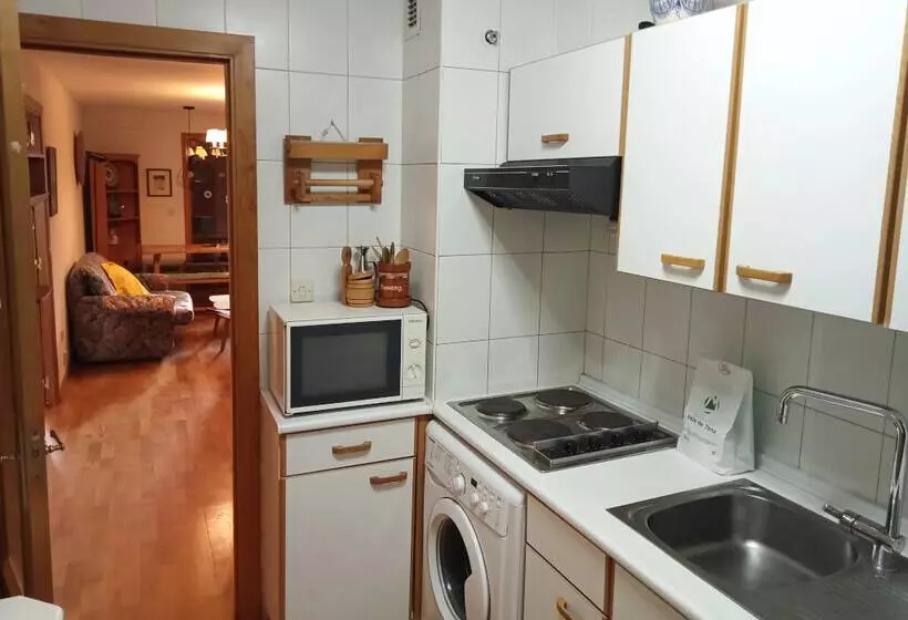 Apartamentos Valle de Tena Biescas 3000