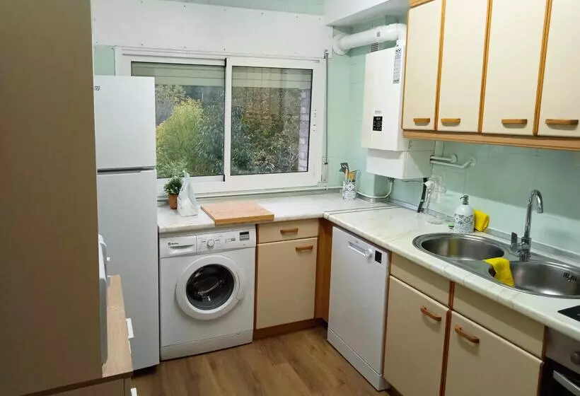 Apartamentos Valle de Tena Biescas 3000