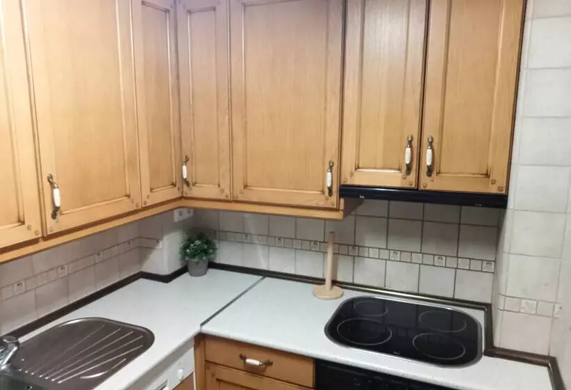 Apartamentos Valle de Tena Biescas 3000