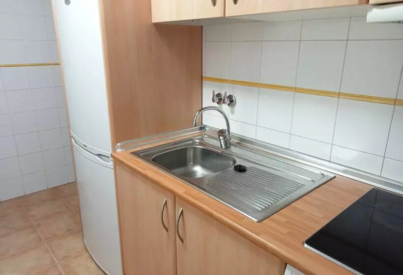 Apartamentos Valle de Tena Biescas 3000