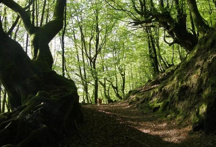 Majatalo Hostal Cicloturismo Lopenea