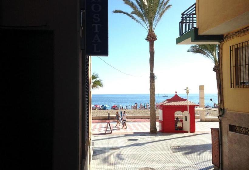 پانسیون Hostal Delfin Verde