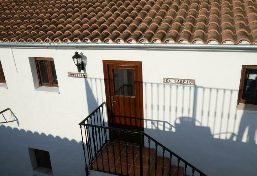 Пансион Olivetum Colina