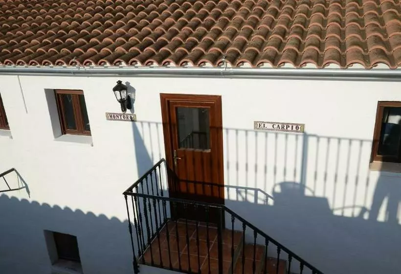 Majatalo Olivetum Colina