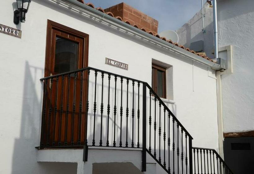 Пансион Olivetum Colina