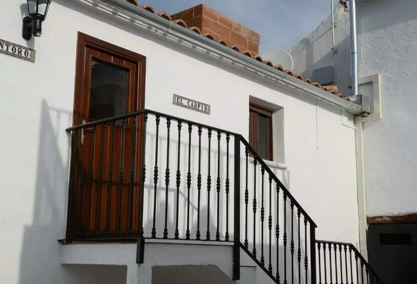 Majatalo Olivetum Colina